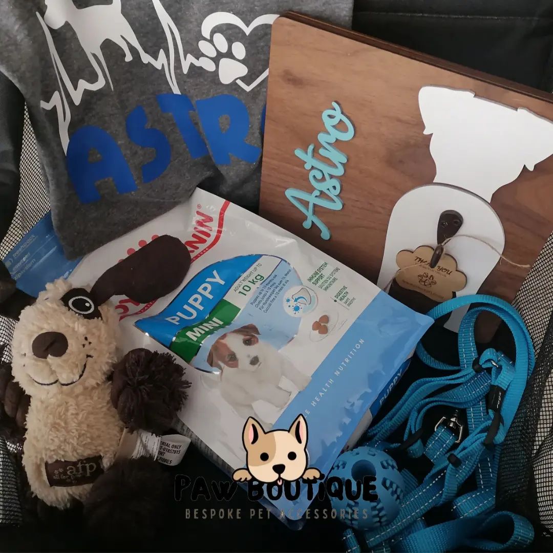 Paw Boutique Dog Themed Monthly Gift Boxes Bespoke Pet